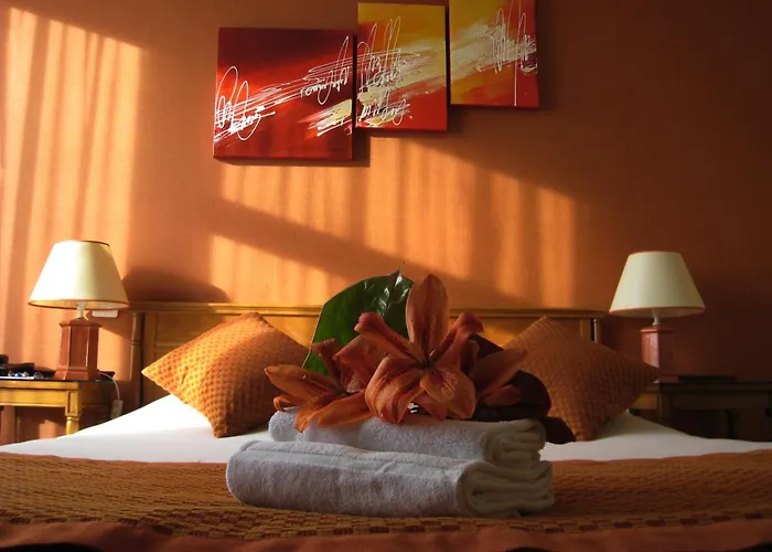 Hotel Le Grand Monarque 3*